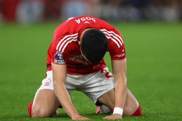 阵容更加完 阵容更加完