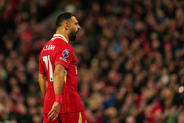 经历或许可 经历或许可